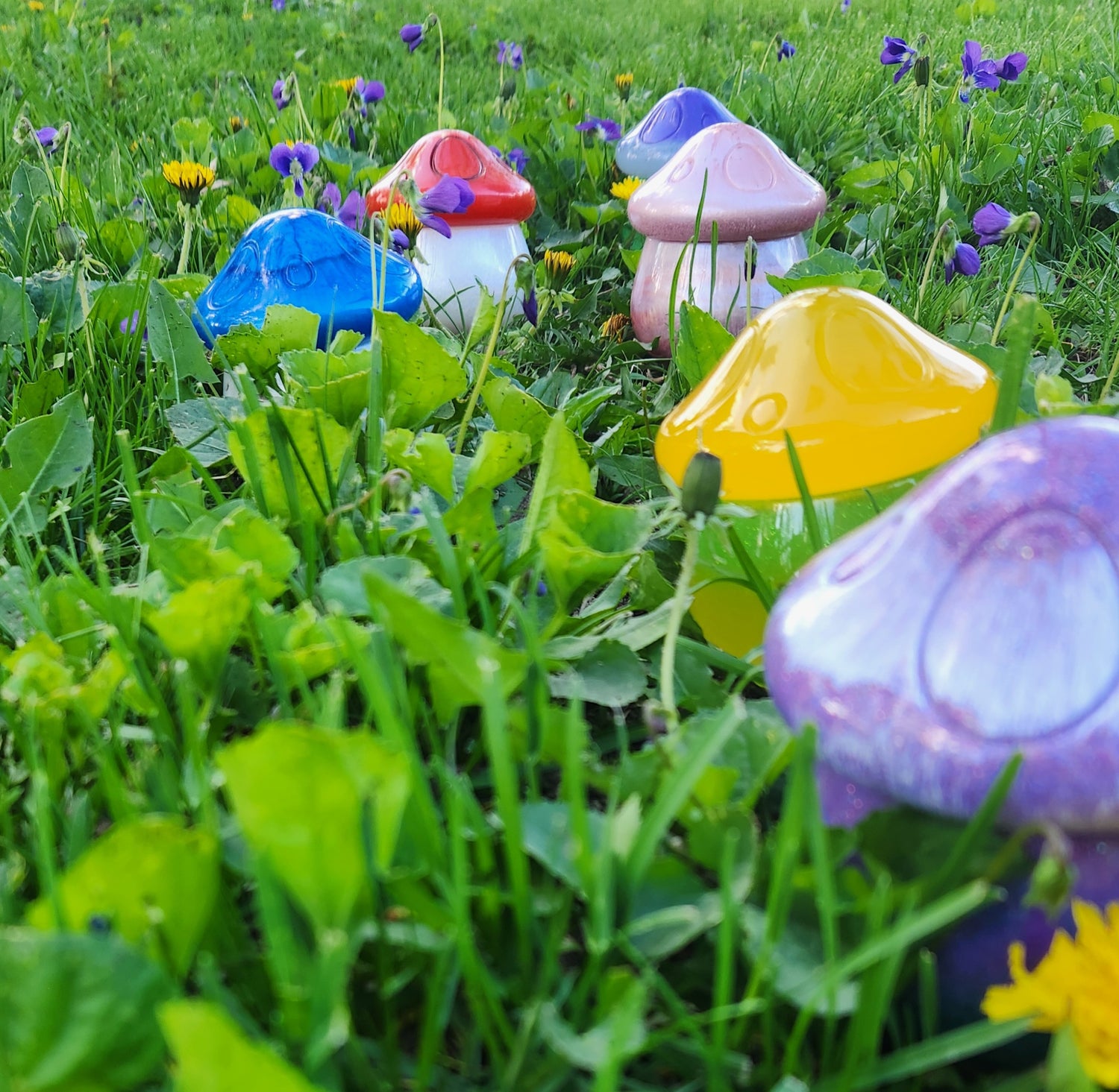 Small Mushroom Trinket Jars