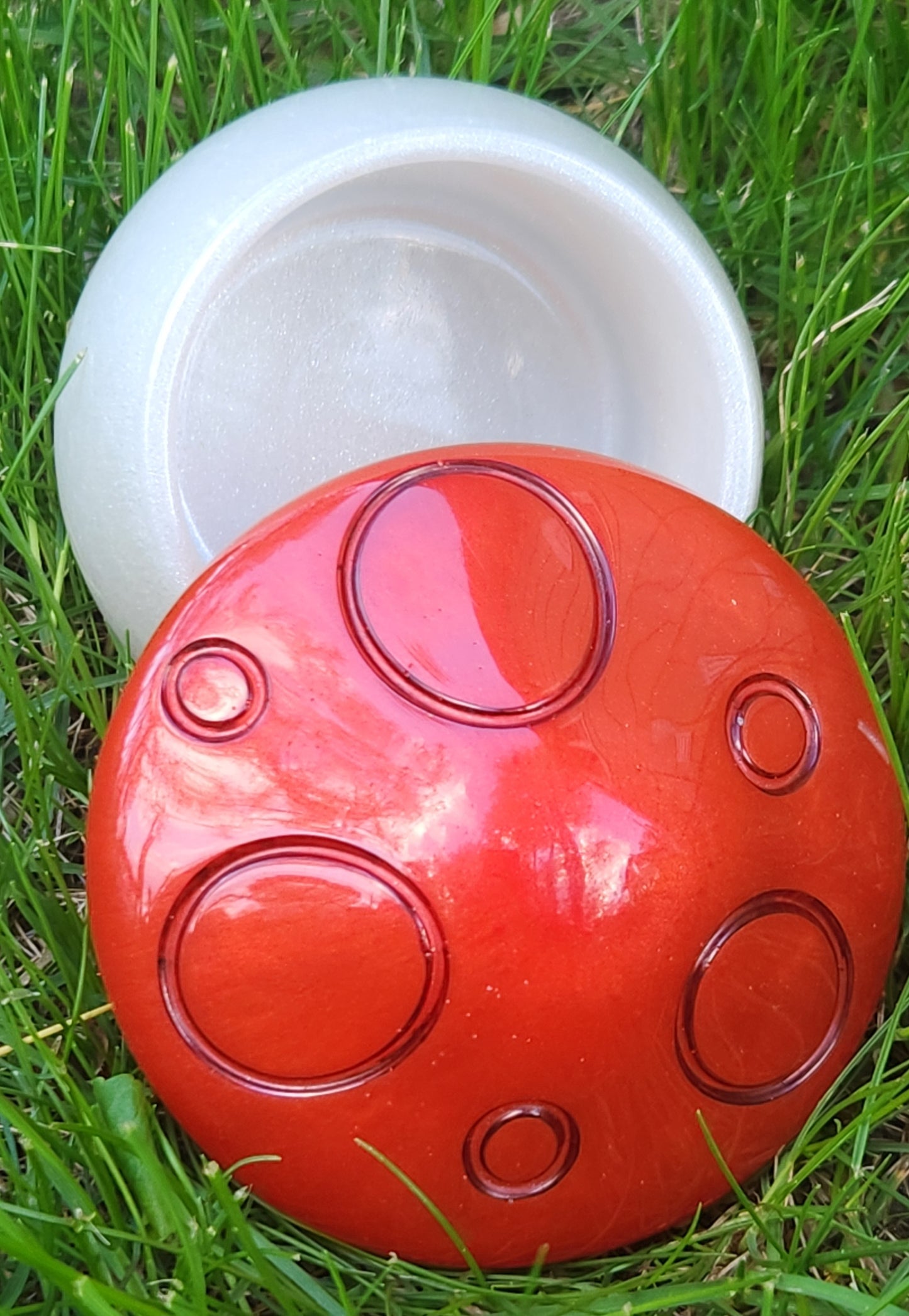 Red/White Mushroom Jar