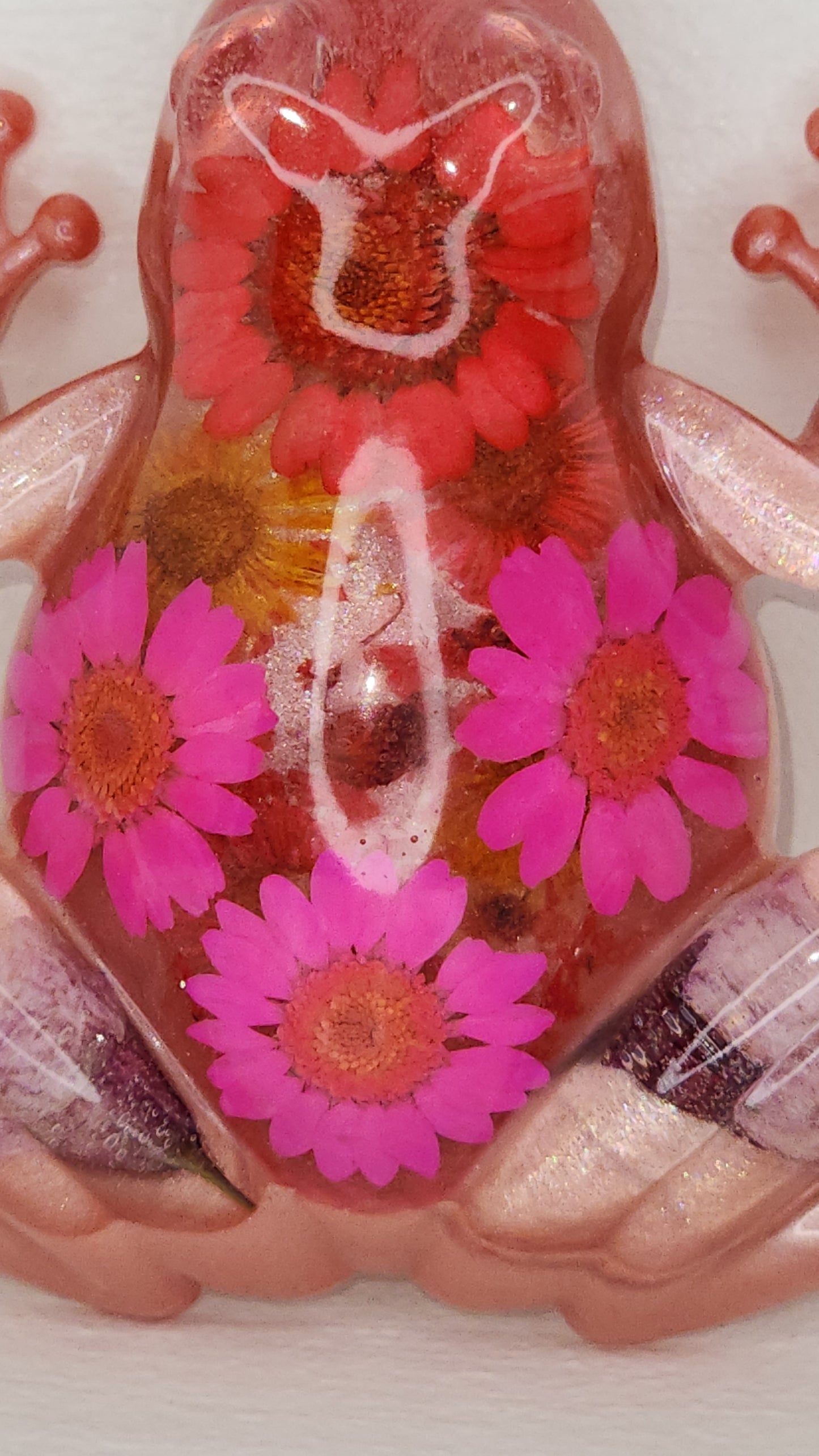 Pink Flower Frog