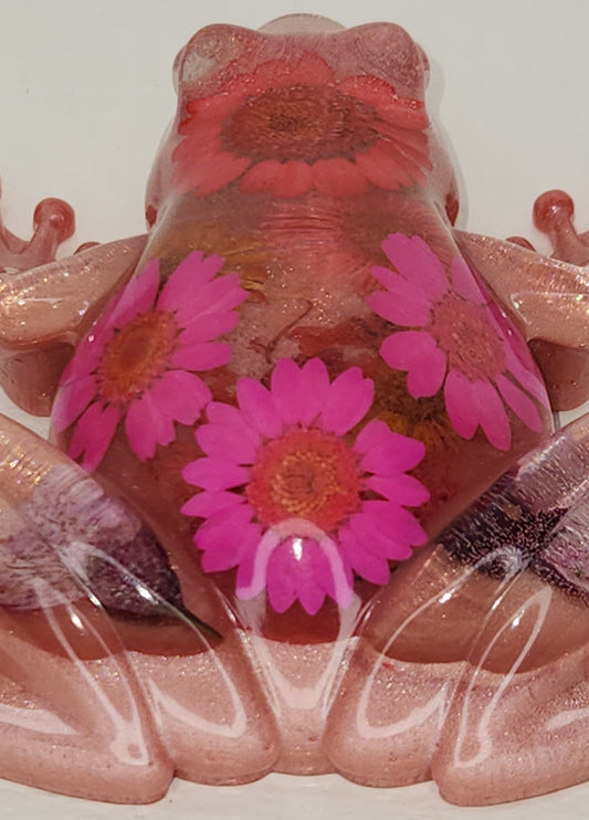 Pink Flower Frog
