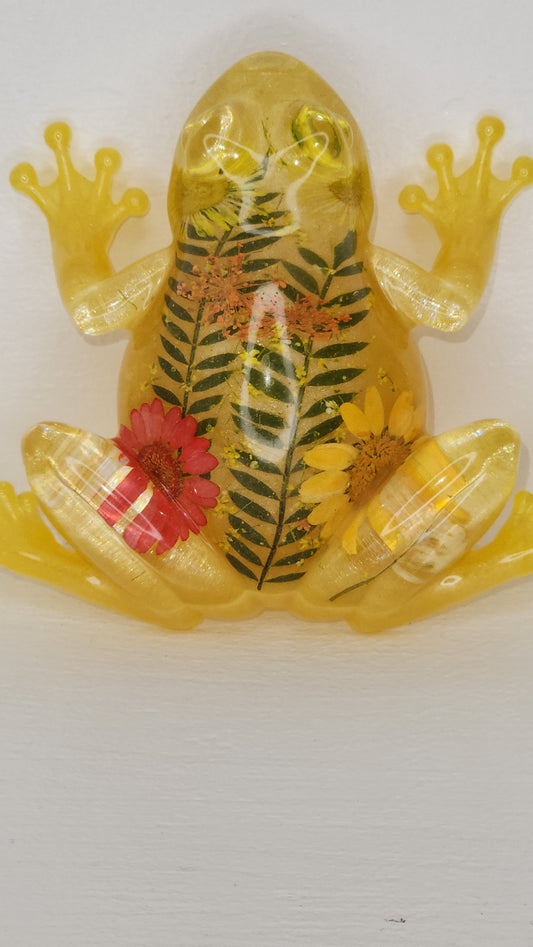 Yellow Floral Frog